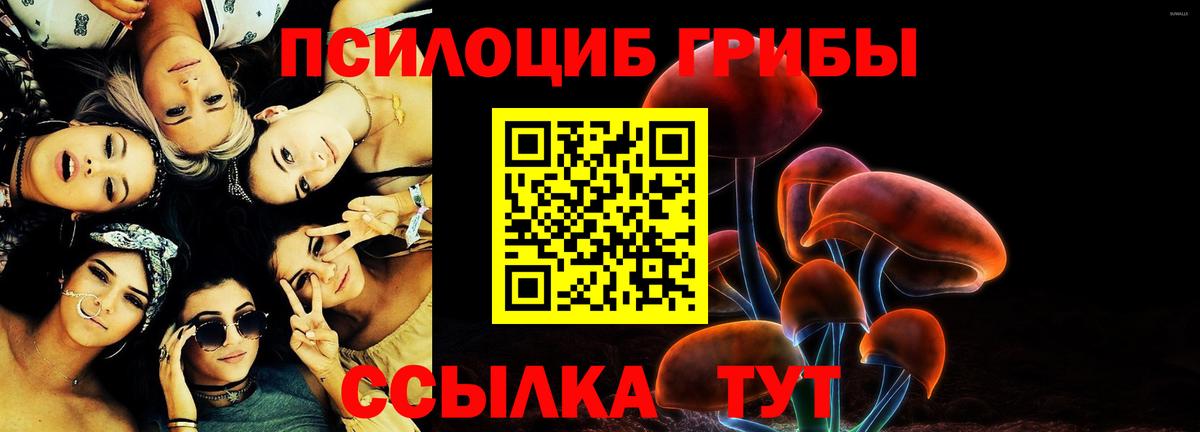 Псилоцибиновые грибы Psilocybine cubensis  Вход с VPN  Гуково 